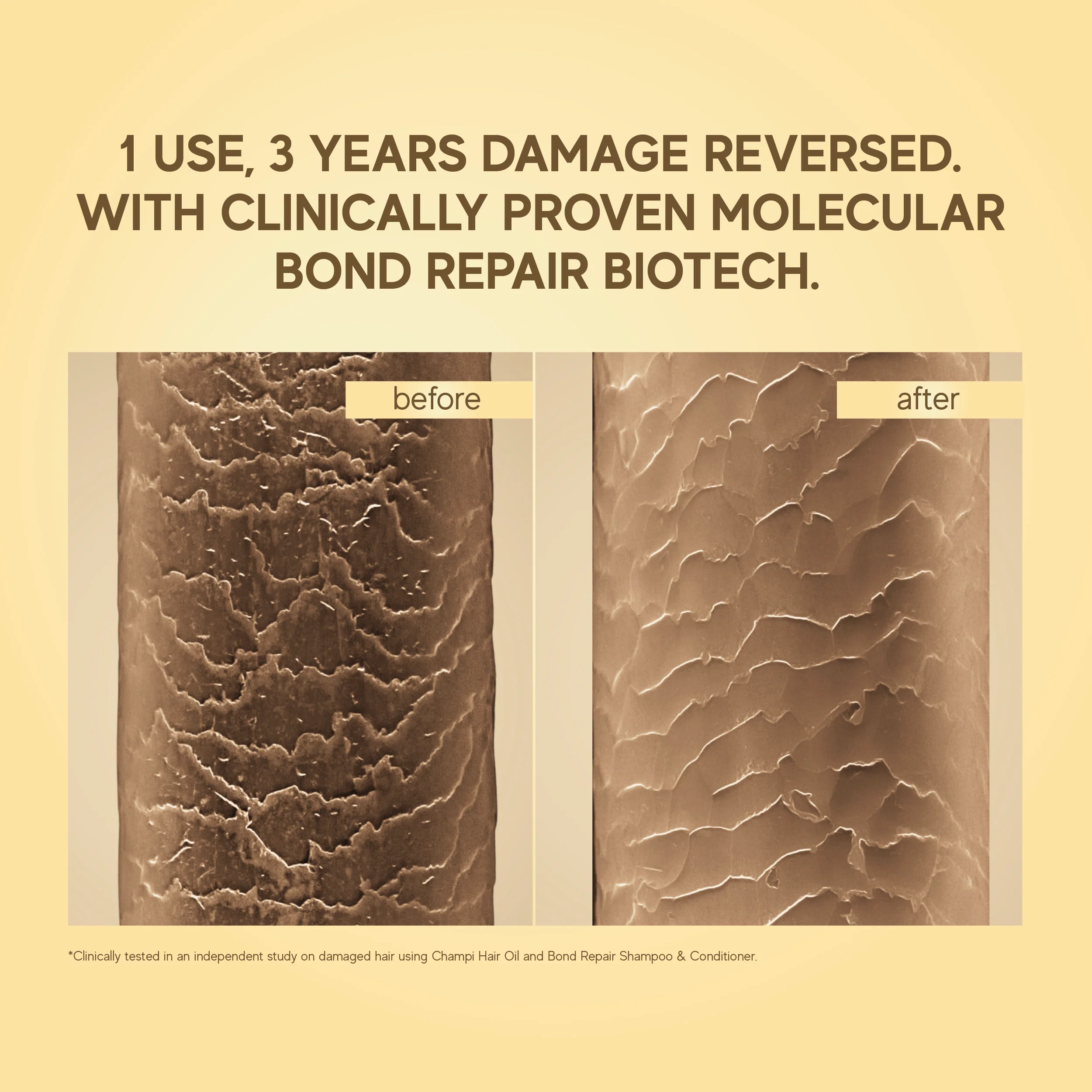Champi Bond Repair Conditioner - Image 9