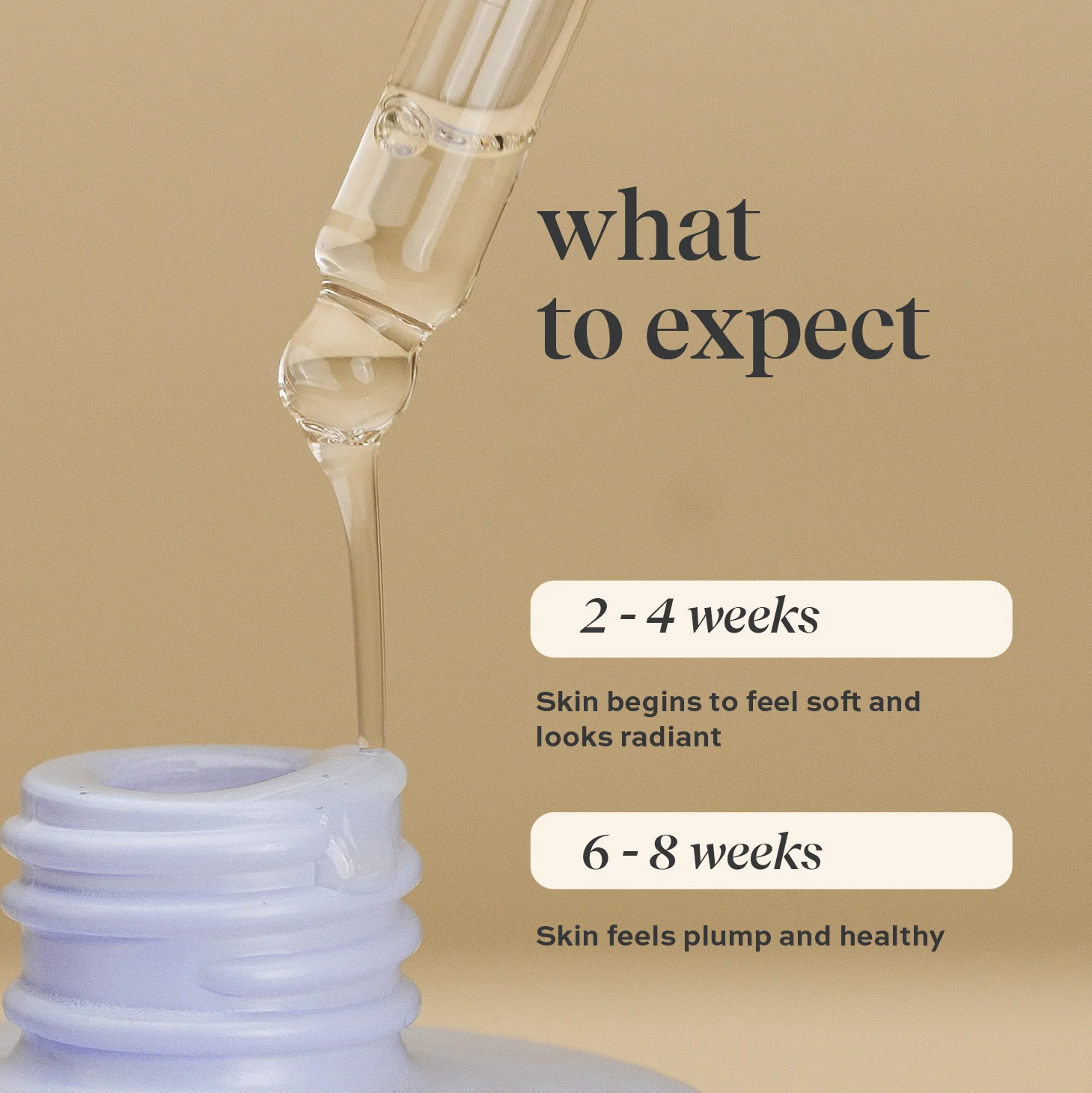 Sunset Restore 1% Bakuchiol Serum - Image 6